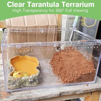 Acrylic Tarantula Enclosure Box No Assembly Reptile Terrarium 8x6x4in Transparent Sling Cage Magnetic Jumping Spiders Habitat Breeding Tank for Lizard Scorpion Insect Isopods Invertebrates