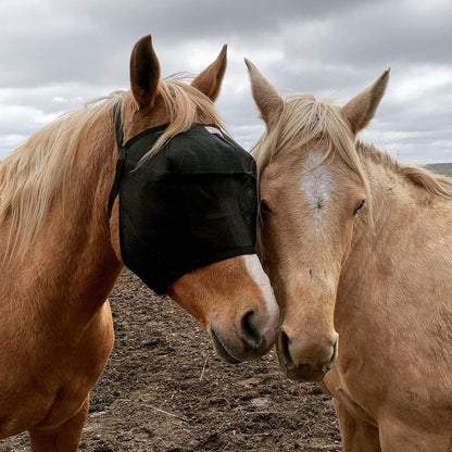 EquiVizor 95% UV Eye Protection (Full) Standard Horse Fly Mask - Help with Uveitis, Corneal Ulcer, Light Sensitivity. Designed to Stay On Your Horse, Off The Ground.