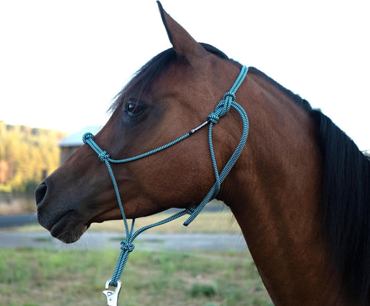 Horse Rope Training Halter - 4 Knot 1/4" Stiff Halter Cord - Used by Famous Trainers Multiple Sizes Multiple Colors
