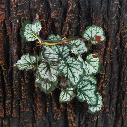 IBWell Fake Reptile Plants for Terrarium, Turtle Tank Decor with Suction Cup