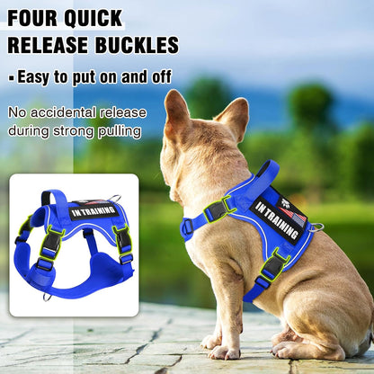 WINSEE Service Dog in Training Harness with 5 PCS Patches, Reflective Tactical Dog Vest Harness, Adjustable Soft Oxford Pet Harness with Easy Control Handle, Hook & Loop Panels for Walking Hiking