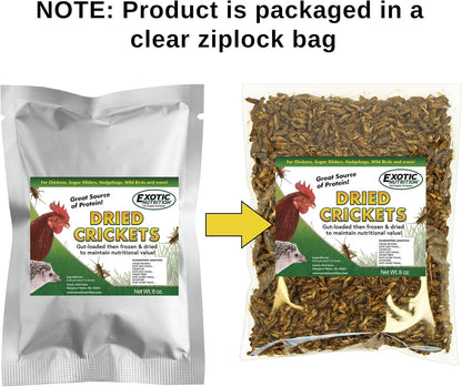 1/2 Pound Dried Crickets - High Protein Insect Treat - Chickens, Wild Birds, Hedgehogs, Bluebirds, Reptiles, Sugar Gliders, Opossums, Skunks, Lizards, Bearded Dragons, Fish, Turtles 8 oz. (1 Pack)