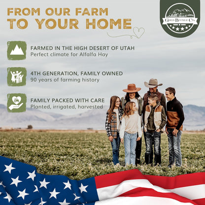 10lb Freshly Dried Organic Alfalfa Hay for Guinea Pigs, Rabbits, Chinchillas, Goats, Hamsters & Ferrets, Small Animal Food Rich in Protein & Fiber, Hand-Selected, Hand sorted, USA Grown