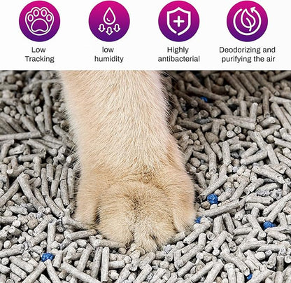 Ducksky Tofu Cat Litter Fast Clumping 5in1, Natural Plant-Based flushable Lightweight tofu Litter for Kitty, Effective Odor Control,unscented pellets, 99% Dust- Free,Low Tracking,(6.6LB x 2 Pack)