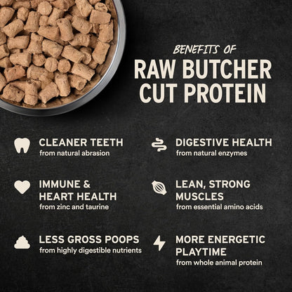 Vital Essentials Freeze-Dried Raw Beef Meal or Mixer Dog Food Soft Nibs | 98% Beef, Organs & Bone | 14 oz