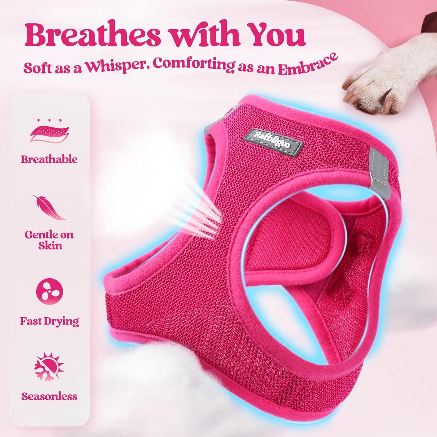 rabbitgoo Dog Harness Small Sized and Leash Set, Step in Soft Light Puppy Vest, Breathable Mesh Pet Harness, Reflective for Safe Easy Walking, Rose Red M