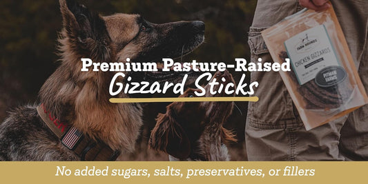 Farm Hounds - Duck Gizzards - Premium Natural Jerky for Dogs - 100% Humanely Raised Duck - Break-to-Size - Great for Training & Treats - No Added Fillers - Made in USA - 4oz - 2 Pack