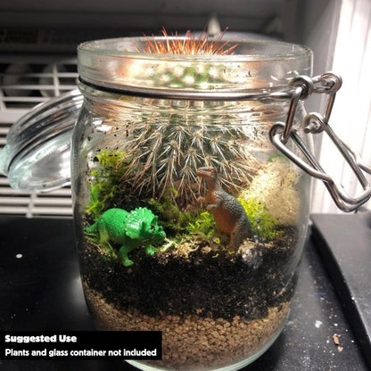 Cute Farms Terrarium Starter Kit | Moss, Vermiculite, Soil, Plant Food, Brush, Build and Care Guide | DIY Succulent Terrarium Kit for Adults and Kids