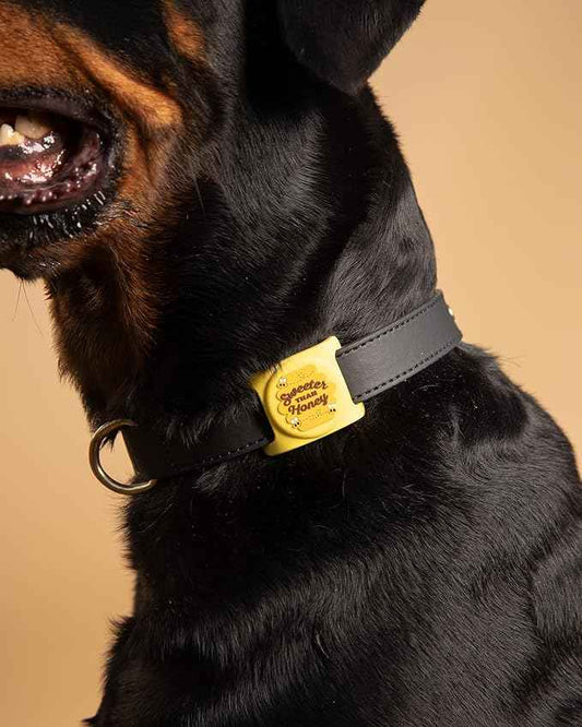 Two Tails Sweeter Than Honey Dog Collar Holder Compatible with Apple AirTag, Durable Silicone Slide-On Case for Pets, Secure Tracker Cover, Easy to Clean