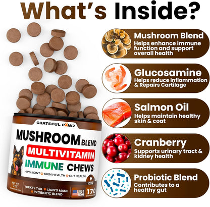 Mushroom Supplement for Dogs - 170 Chews - Mushrooms for Dogs - Turkey Tail, Reishi, Lion’s Mane, Glucosamine Multivitamin - Immune Booster, Gut, Hip & Joint Health Support Vitamins, Energy & Skin