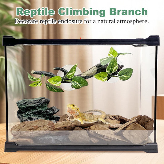 Fhiny Snake Climbing Branch, 2 PCS Resin Reptile Branches for Climbing with Suction Cups Frog Terrarium Plants Reptile Tank Decor Accessories for Frog Corn Snake Lizard Bearded Dragon Gecko