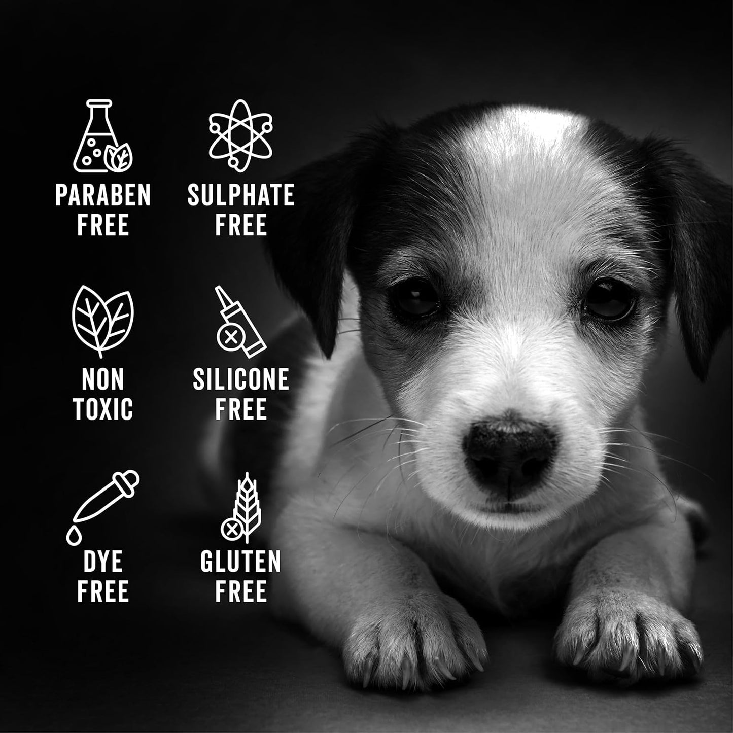 Pride and Groom The Sensitive One Box Set – Dog Shampoo & Conditioner with All Natural Blend of Essential Oils & Ingredients to Soothe, Nourish & Untangle for Long Lasting Shine & Manageability – 32oz