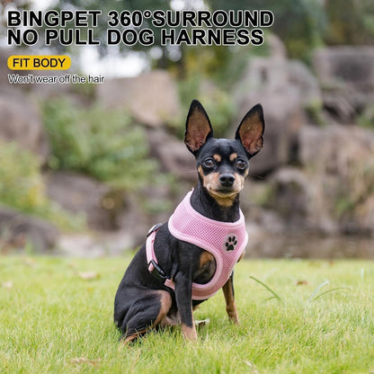 BINGPET Small Dog Harness - Breathable Mesh Puppy Cat Harnesses - No Pull Adjustable Dog Harness Dog Vest Harness for Small and Medium Dogs
