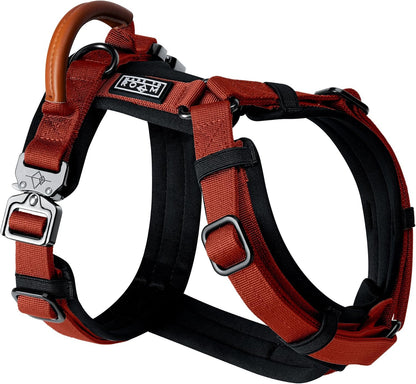 MADE TO ROAM Premium Explorer Harness - Y-Shaped Dog Harness with Adjustable Durable Nylon, Soft Padding, Metal Buckles and Leather Handle for Small, Medium, Large Dogs (Texas Flair, Size 1)