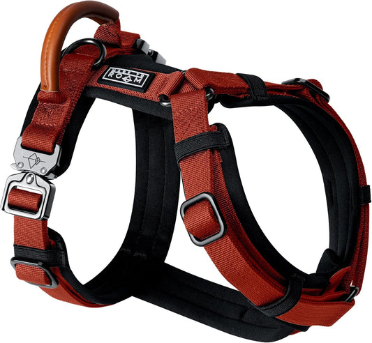 MADE TO ROAM Premium Explorer Harness - Y-Shaped Dog Harness with Adjustable Durable Nylon, Soft Padding, Metal Buckles and Leather Handle for Small, Medium, Large Dogs (Texas Flair, Size 6)