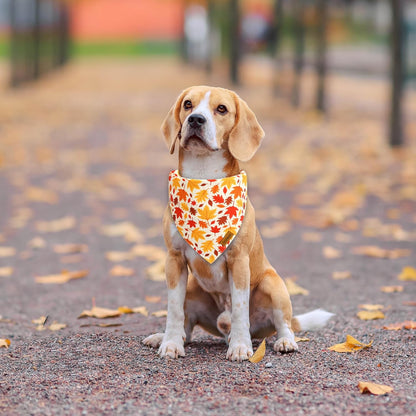 Fall Dog Bandanas - 2 Pack Halloween Thanksgiving Dog Bandana | Reversible Pumpkin and Leaf Pet Scarf for Boy & Girl | Premium Fabric | Holiday Bandana for Large and Extra Large Dogs (X-Large)