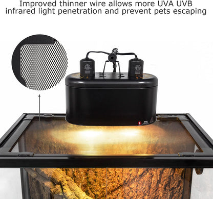 REPTI ZOO Full Glass 20 Gallon Reptile Tank, Front Opening Reptile Terrarium 24" x 18"x 12", Double Hinged Opening Doors & Top Screen Ventilation Escape Proof Lid