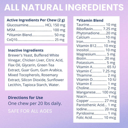 Under the Weather Multivitamin for Dogs | Vet Formulated Daily Canine Health Supplies for Immunity, Skin, Coat & Joint Support | All-in-One Multivitamin for Dogs of All Breeds & Sizes | 60 Count