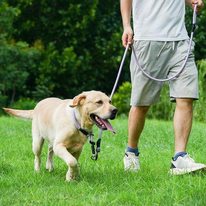 Rope Dog Leash, 4 ft Heavy Duty Dog Leash with Aviation Aluminum Auto Locking Carabiner, Strong Nylon Pet Lead for Small, Medium, Large Dogs (Purple, 4FT)