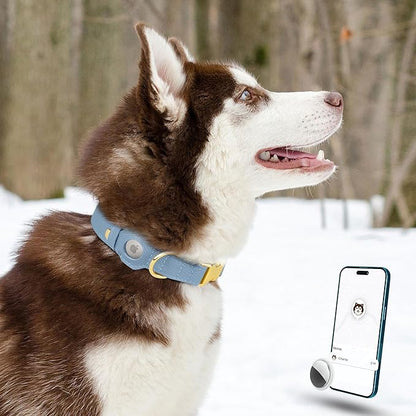 Leather Airtag Dog Collar - Soft Tracking Dog Collar with Apple AirTag Holder and Metal Buckle - Safety GPS Pet Collars for Small Medium Large Dogs Puppy Pink Red (Cornflower, M, 14"-18" Neck Fit)