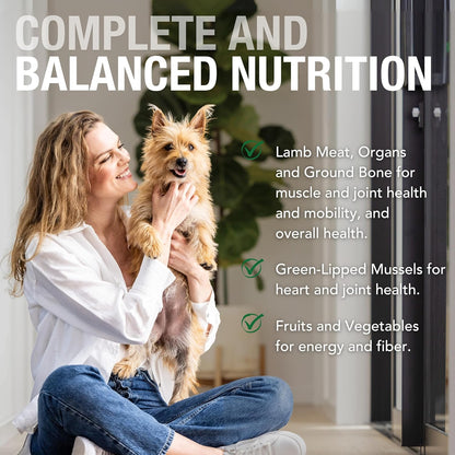 K9 Natural Wet Dog Food Pate, Lamb Feast, 6 Oz Cans (Pack of 12), Grain Free, Made in New Zealand with Grass-Fed, Free-Range Lamb, Single Source, Limited Ingredient