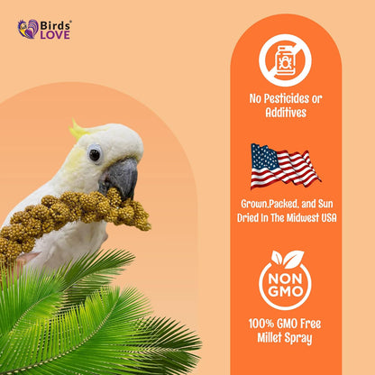 Birds LOVE Wholesome & Lovely Spray Millet Non-GMO (No Stems Only Edible Tops) for Parrots Birds Cockatiel Lovebird Parakeets Finch Canary All Parrots Healthy Treat - 5lbs