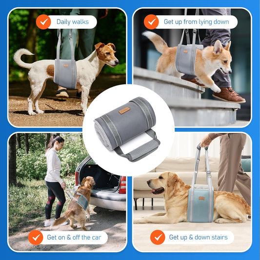 Dog Lift Harness for Large Dogs, Adjustable Dog Sling for Back Legs, Hip Support Harness to Help Lift Dogs Rear for Canine Aid and Old K9 Cruciate Ligament Rehabilitation - Large, Grey