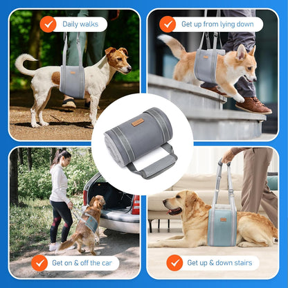 Dog Lift Harness for Large Dogs, Adjustable Dog Sling for Back Legs, Hip Support Harness to Help Lift Dogs Rear for Canine Aid and Old K9 Cruciate Ligament Rehabilitation - Large, Blue