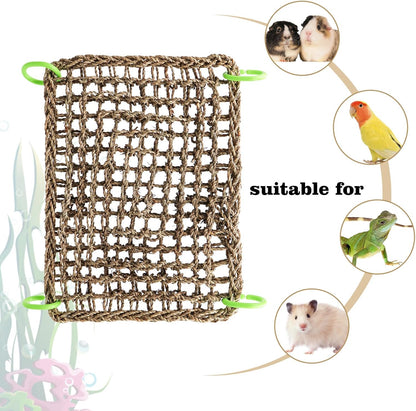 16 x 12 Inches Bird Seagrass Mat, Natural Seagrass Woven Net, Bird Hammock Mat with Hooks, Bird Cage Accessories, Climbing Rope Ladder Chew Toys for Cockatiel Hamster Guinea Pig Rats Hamster Parakeet