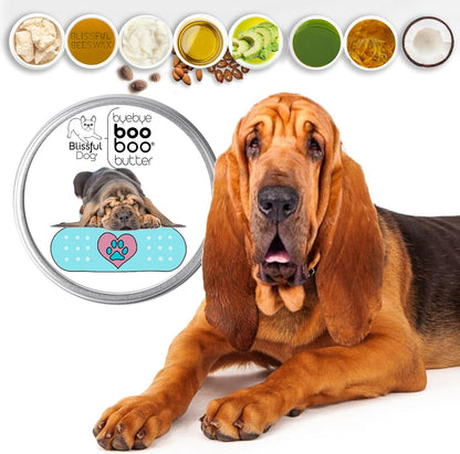 The Blissful Dog Bloodhound Boo Boo Butter, 16oz