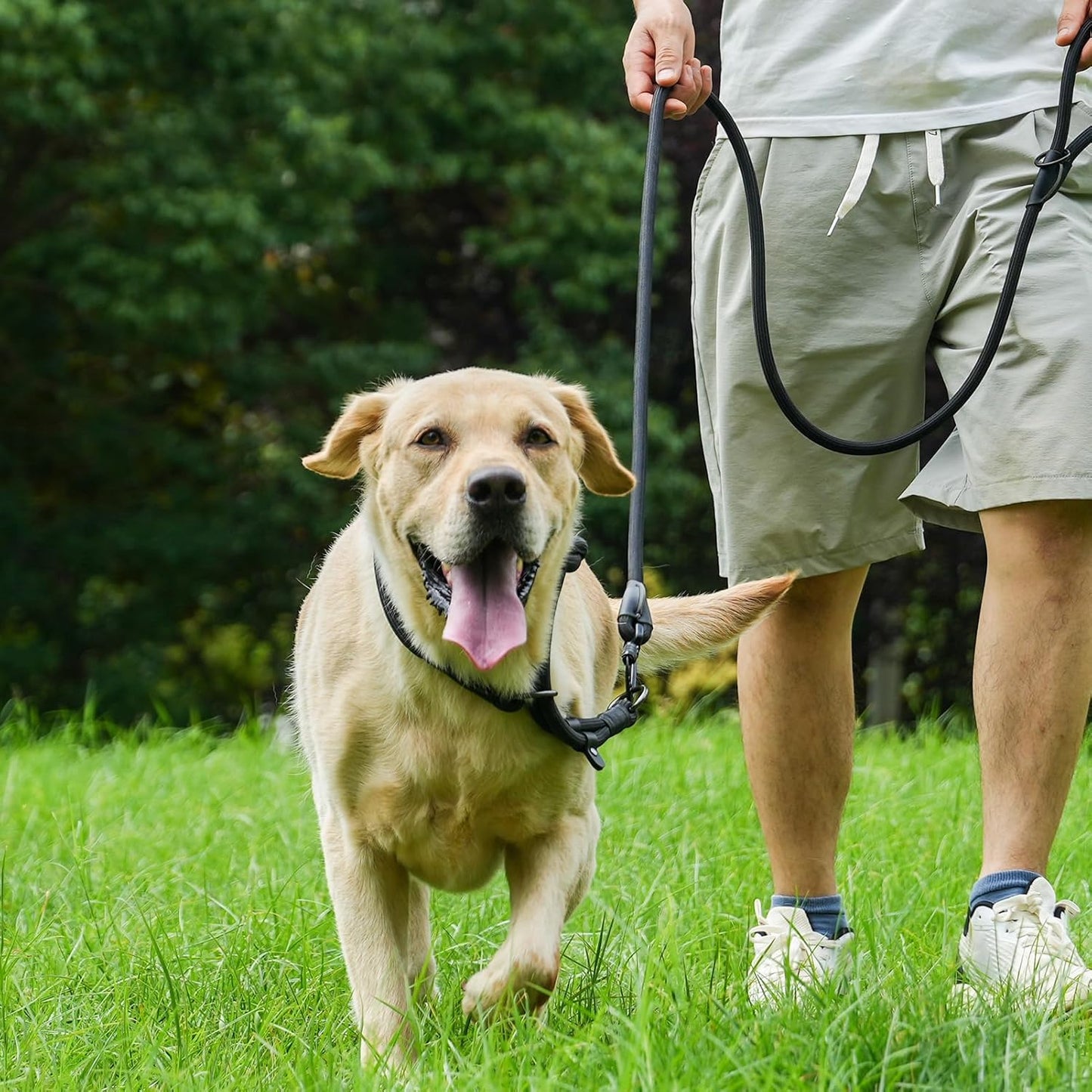 Rope Dog Leash, 6 Foot Heavy Duty Dog Leash with Aviation Aluminum Auto Locking Carabiner, Strong Nylon Pet Lead for Small, Medium, Large Dogs (Rose Red, 6FT)