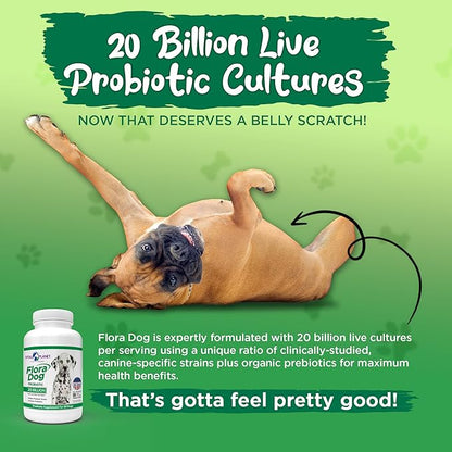 Vital Planet - Flora Dog Probiotic Chewable Tablets Supplement with 20 Billion Cultures and 10 Strains, High Potency Immune and Digestive Support Probiotics for Dogs, 30 Beef Flavored Chewable Tablets