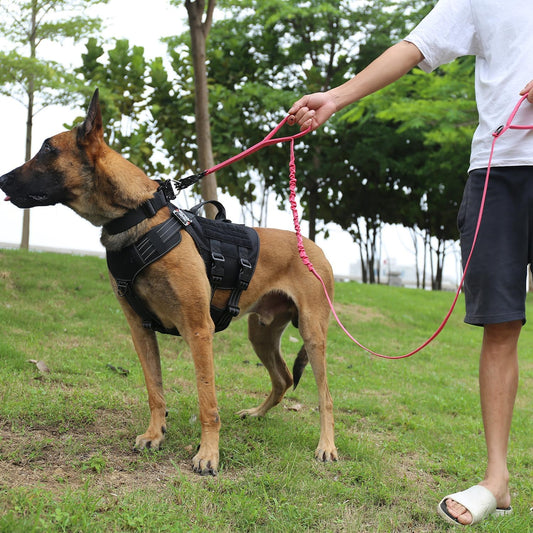 ICEFANG Tactical Dog Leash,K9 Training Walking Bungee Lead with 2 Control Handle,Heavy Duty Quick Release Metal Clasp,for Medium Large Breed (Reflective Pink, 6 FT)