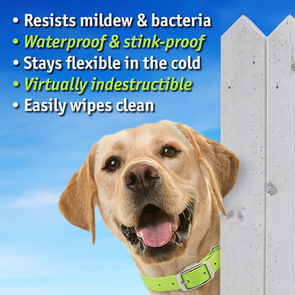 Biothane Custom Dog Collar – Waterproof, Stink-Proof Personalized Collar with Name & Phone Number – Durable, Many Sizes and Colors – Assembled in USA (Royal Blue)