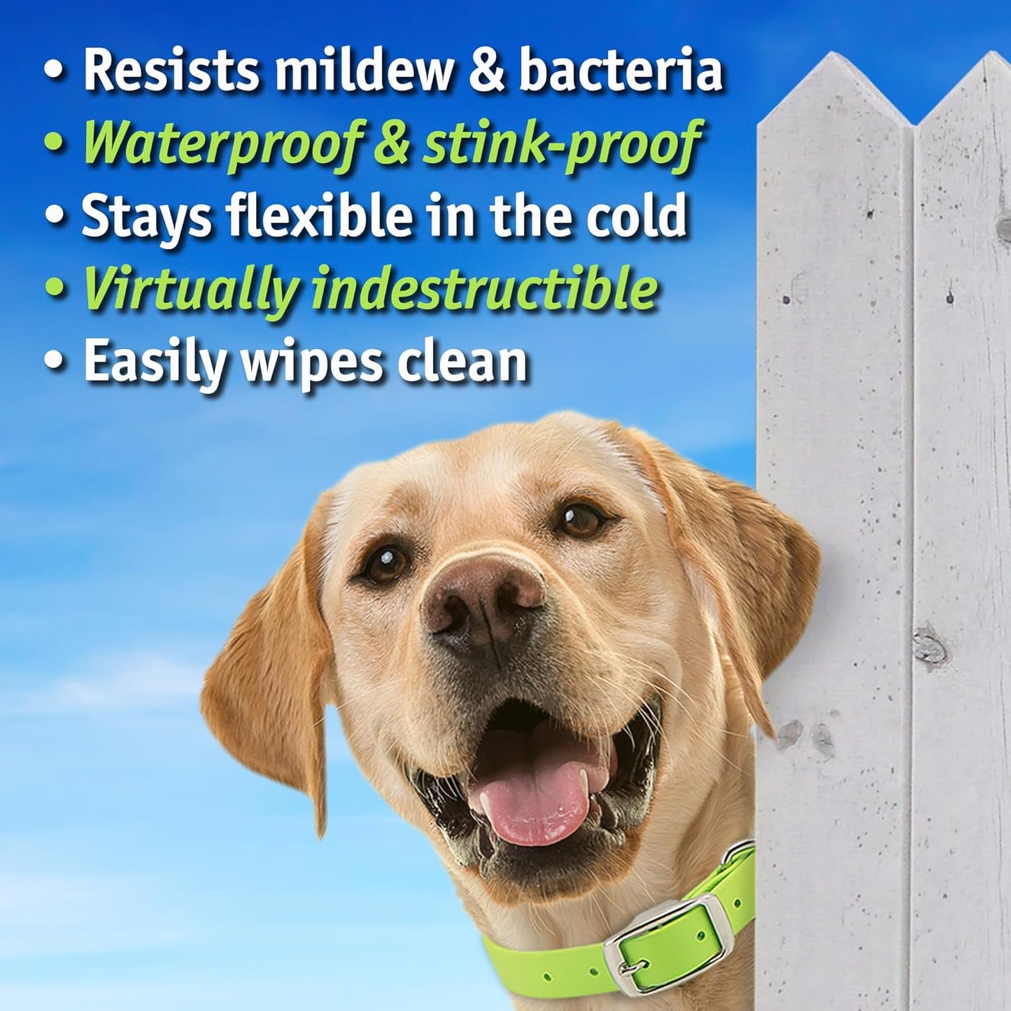 Biothane Custom Dog Collar – Waterproof, Stink-Proof Personalized Collar with Name & Phone Number – Durable, Many Sizes and Colors – Assembled in USA (Olive Green)