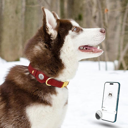 Leather Airtag Dog Collar - Soft Tracking Dog Collar with Apple AirTag Holder and Metal Buckle - Safety GPS Pet Collars for Small Medium Large Dogs Puppy Pink Red (Red, XL, 20"-25" Neck Fit)