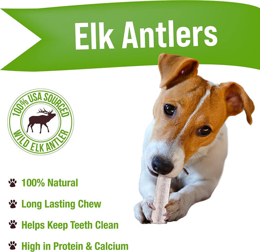 Buck Bone Organics Dog Chews, Elk Antlers for Dogs, Long Lasting Dog Bones for Aggressive Chewers, All Natural, No Preservatives, Wild Shed in The USA (Small 3 Pack)