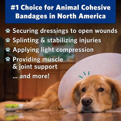 PetFlex Paw Pack – Flexible Self-Adhering Elastic Bandage for Wound Care – First Aid Wrap for Small Animals Like Dogs, Cats, and Other Pets - 2 inch, 2 Rolls