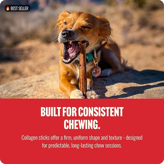 Natural Farm Collagen Sticks (6 Inch, 20 Pack). Odor-Free, 95% Natural Collagen Dog Chews, Supports Healthy Joints, Skin & Coat - Best Rawhide Alternative for Small & Medium Dogs