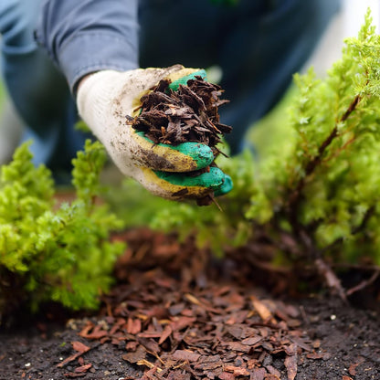 Premium Brown Wood Mulch for Landscaping, Gardens, Lawns, Potting Media, and Potted Plants (1 CF - 28 L - 30 QTS)