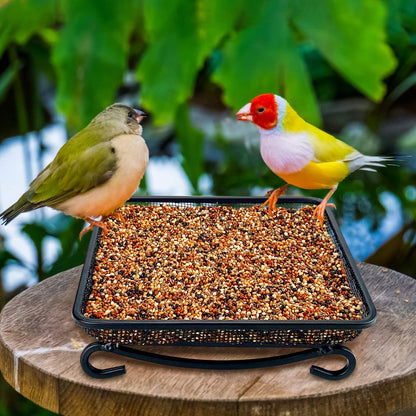 MIXXIDEA Ground Platform Bird Feeder Metal Seed Tray for Outside Garden Wild Bird Feeders with Drainage Holes Great Attracting for Birds and Squirrels, Wonderful Decoration for Backyard – Pack of 2