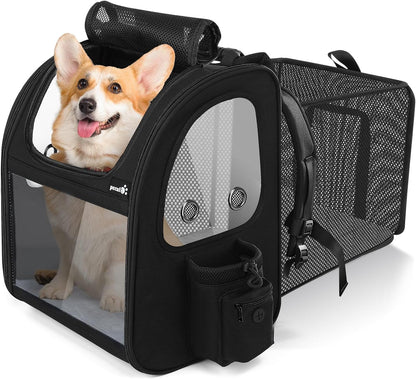 Pecute Pet Carrier Backpack, Large Cat Carrier Backpack, Expandable cat Backpack with Breathable Mesh for Medium Dogs Cats, or 2 Small Pets, Dog Backpack Carrier for Travel Hiking, Black - Pawvie