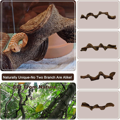BNOSDM 2Pcs Reptile Climbing Branches Decor,Snake Climbing Branch,Gecko Climb Wood,Lizard Forest Branch,Tank Habitat Tree Trunk Decorations for Bearded Dragons,Chameleons,Spider,Frogs (M)