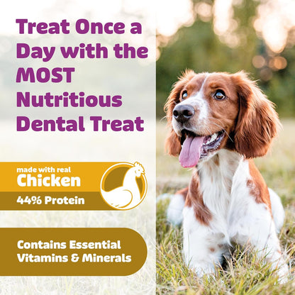 Dog Dental Treats – Vet VOHC Approved – Delicious Chicken Protein – Removes Tartar with Cleaning Comb Shape – Dental Dog Treats for Small Dogs (24oz, 42 Count)