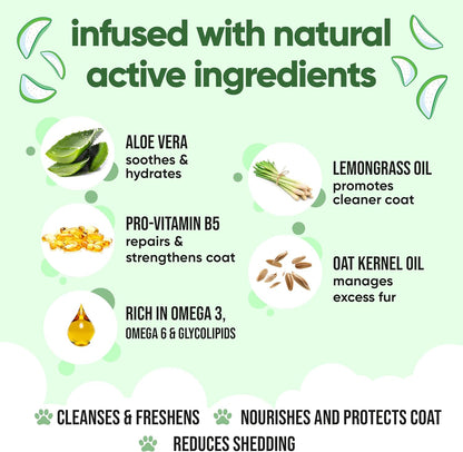 Shed Control Dog Shampoo by Buddycare | Aloe & Lemongrass Scented | with Aloe Vera and Pro Vitamin B5 (33.8oz)