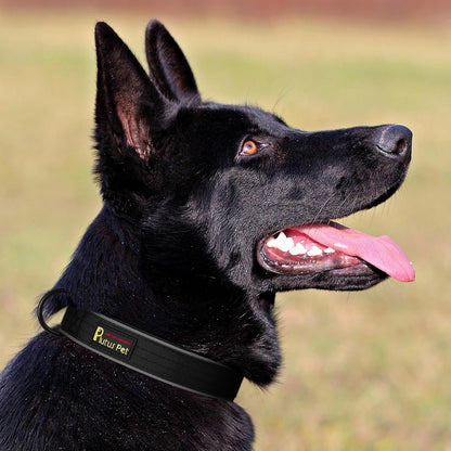 Plutus Pet Tactical Dog Collar, Reflective, Adjustable Heavy Duty Dog Collar, Soft Padded and Comfortable, for Small Medium and Large Dogs (Black, M)