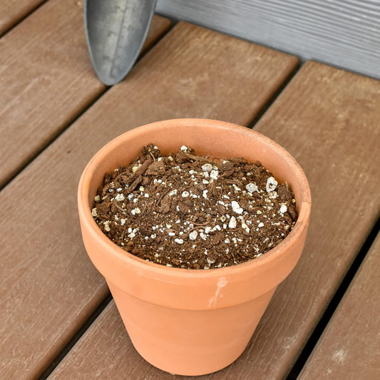 Indoor Herb Planter Potting Mix (8 Quarts), Culinary Herb Potting Soil Mix for Container Gardening