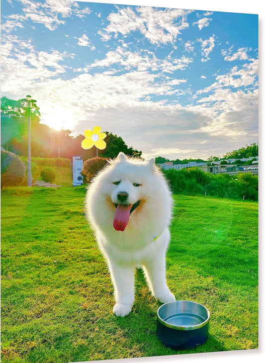 IKITCHEN Dog Bowl for Food and Water, 40 Oz Stainless Steel Pet Feeding Bowl, Durable Non-Skid Double Wall Insulated Heavy Duty with Rubber Bottom for Medium Large Sized Dogs (40 Ounces/5 Cup, Blue)