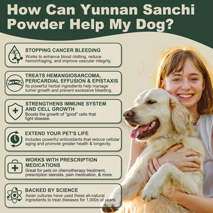 Quick Stop Bleeding for Dogs, Yunnan Sanqi Powder for Hemangiosarcoma, Hemoabdomen, Pericardial Effusion, Cancer Bleeding, Severe Bruising, Blood Support for Dogs, 100g