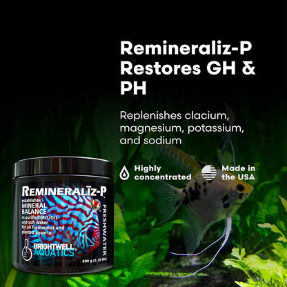 Brightwell Aquatics Remineralīz-P – Restores GH & TDS for Freshwater Aquariums, Replenishes Essential Minerals for RO & Distilled Water, Supports Fish & Plant Health, 250g